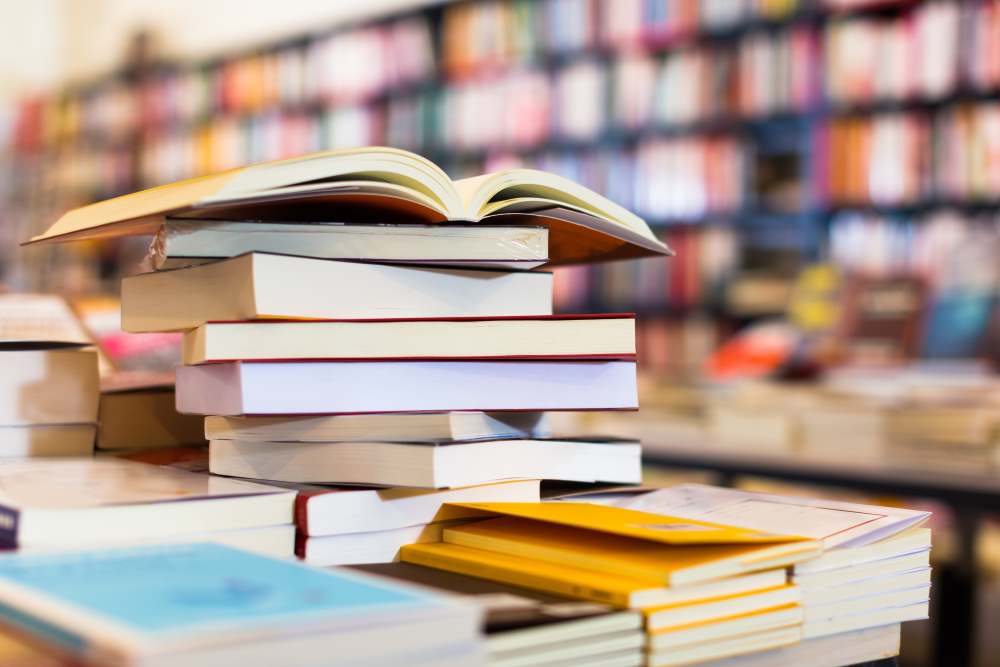 le-bilan-2024-de-la-production-de-livres-secteur-par-secteur-livres